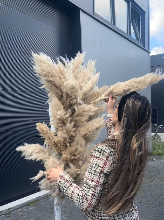 LeerWerkburo starten als zelfstandige Ro Succesverhaal