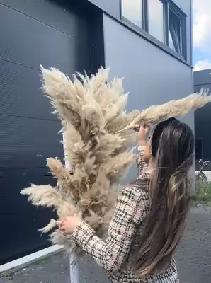 Succesverhaal van Ro