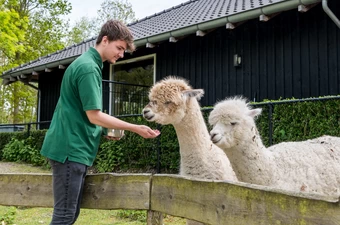 De voordelen van vrijwilligerswerk als onderdeel van jouw re-integratie