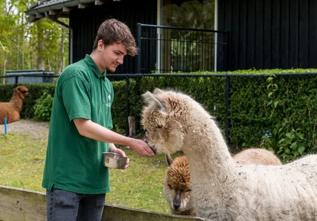 Modulaire dienstverlening