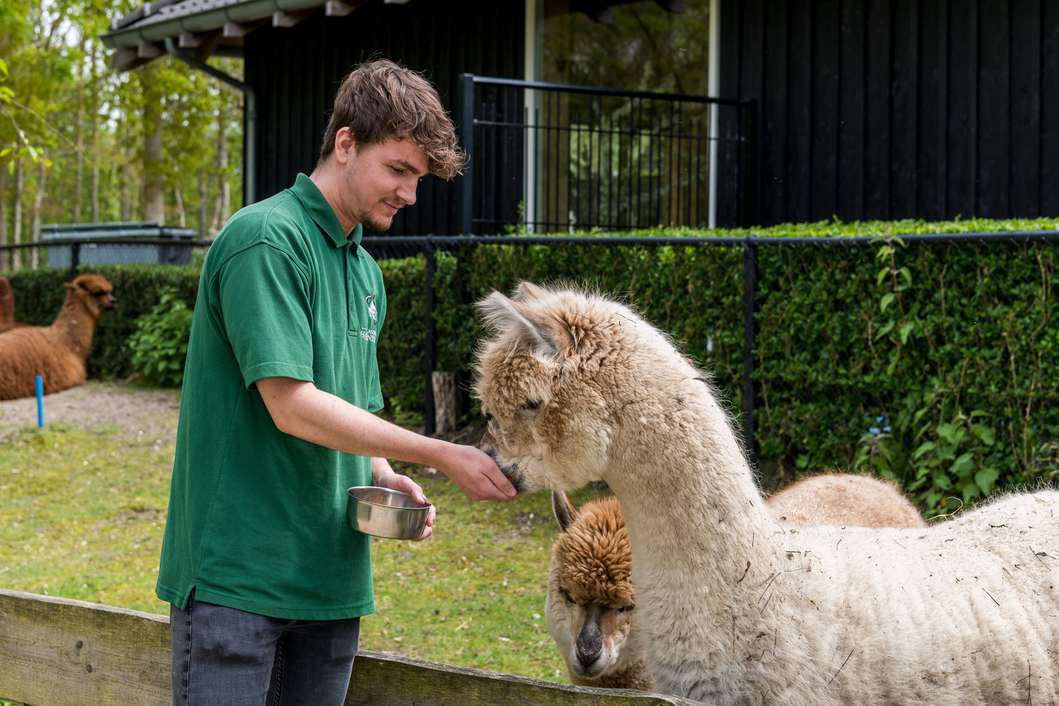 1. Participatie interventie