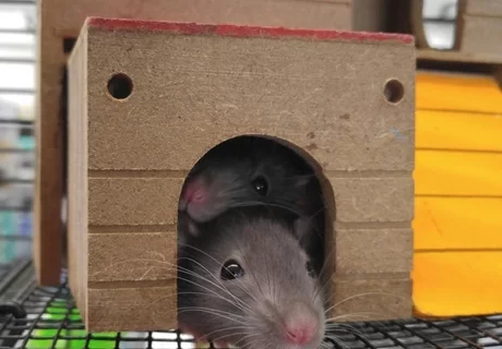 Succesverhaal van Aldert