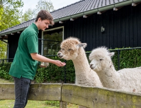 Wat het LeerWerkburo voor je kan doen