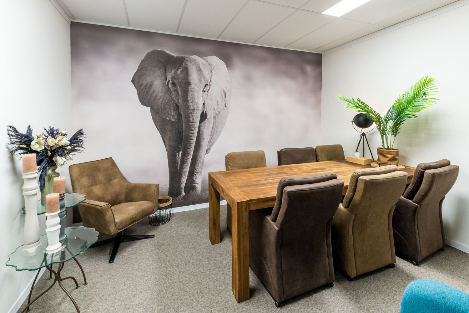 "leerwerkburo reintegratie kamer met tafel, stoelen en behang met een olifant erop"